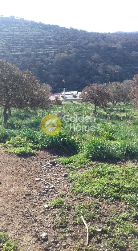 Parcel in Miloi, Kea — Photo 2 of 26