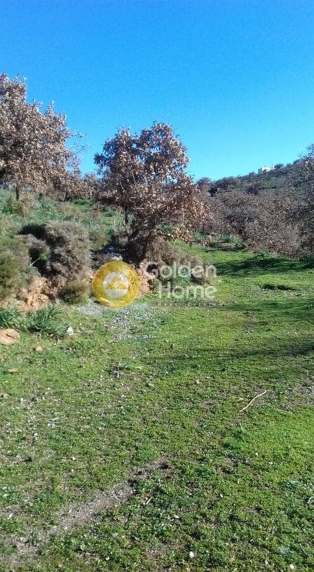 Parcel in Miloi, Kea — Photo 7 of 26