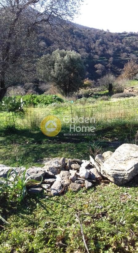 Parcel in Miloi, Kea — Photo 9 of 26