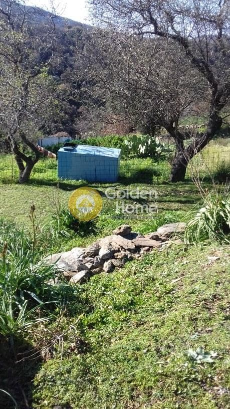 Parcel in Miloi, Kea — Photo 10 of 26