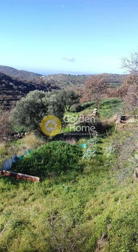 Parcel in Miloi, Kea — Photo 13 of 26
