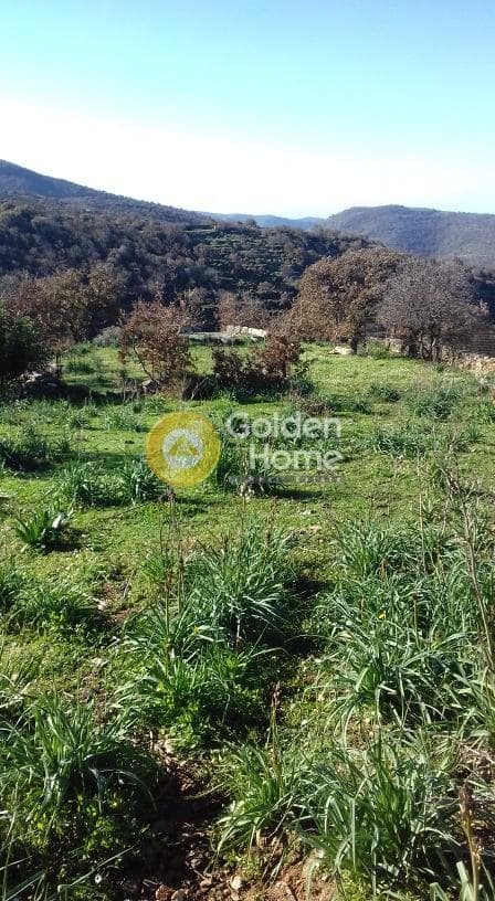 Parcel in Miloi, Kea — Photo 14 of 26