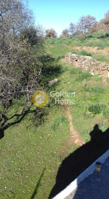 Parcel in Miloi, Kea — Photo 15 of 26
