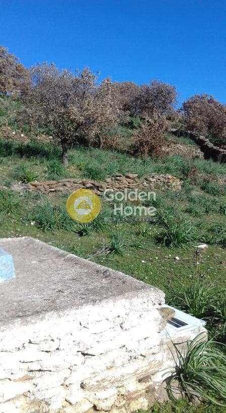 Parcel in Miloi, Kea — Photo 17 of 26