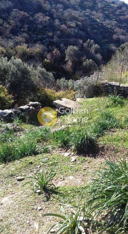 Parcel in Miloi, Kea — Photo 18 of 26