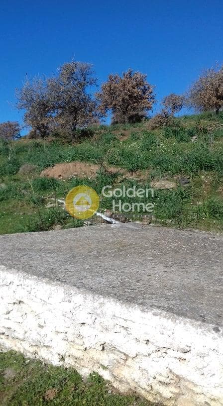Parcel in Miloi, Kea — Photo 21 of 26