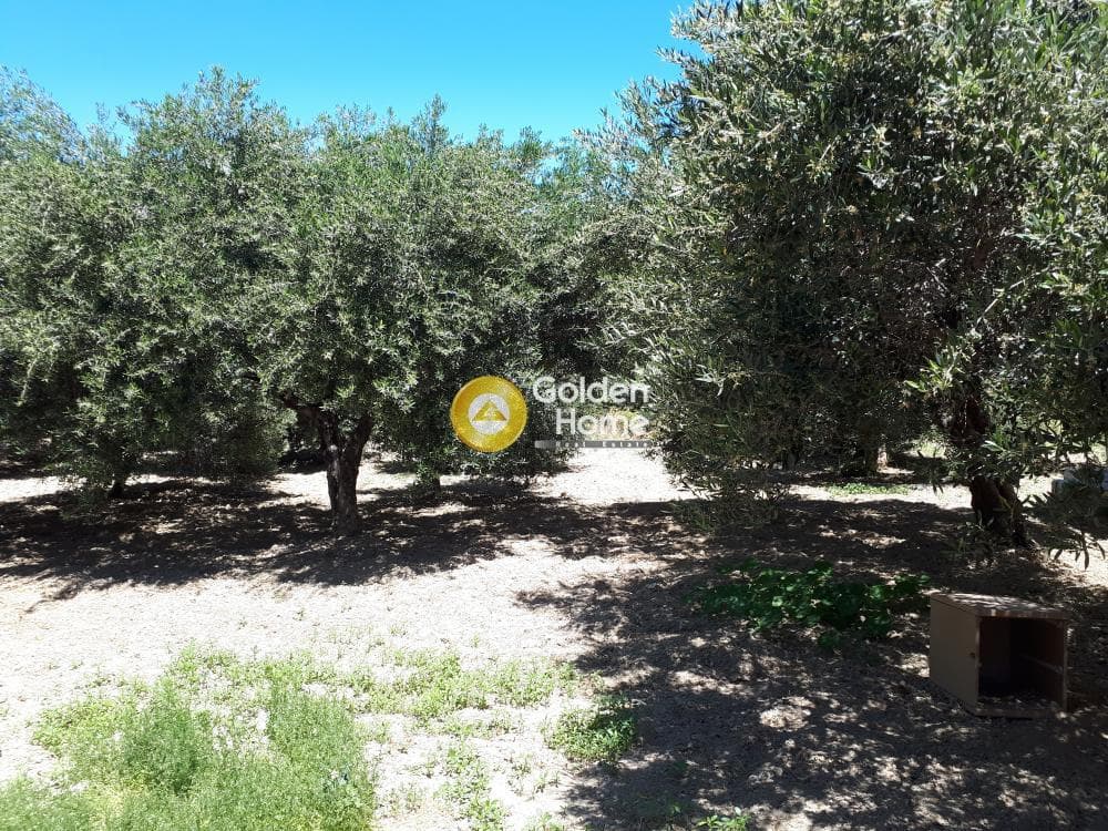 Building Plot in Ethia, Heraclion Cretes — Photo 5 of 5
