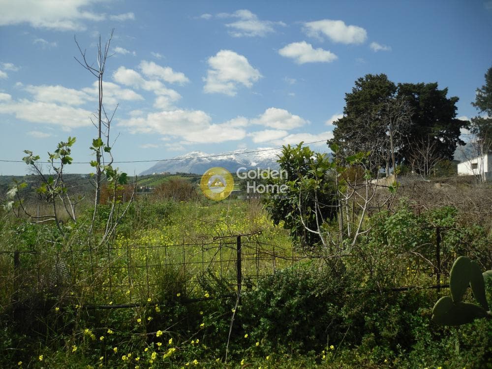 Building Plot in Ano Kalesia, Temenos — Photo 4 of 4