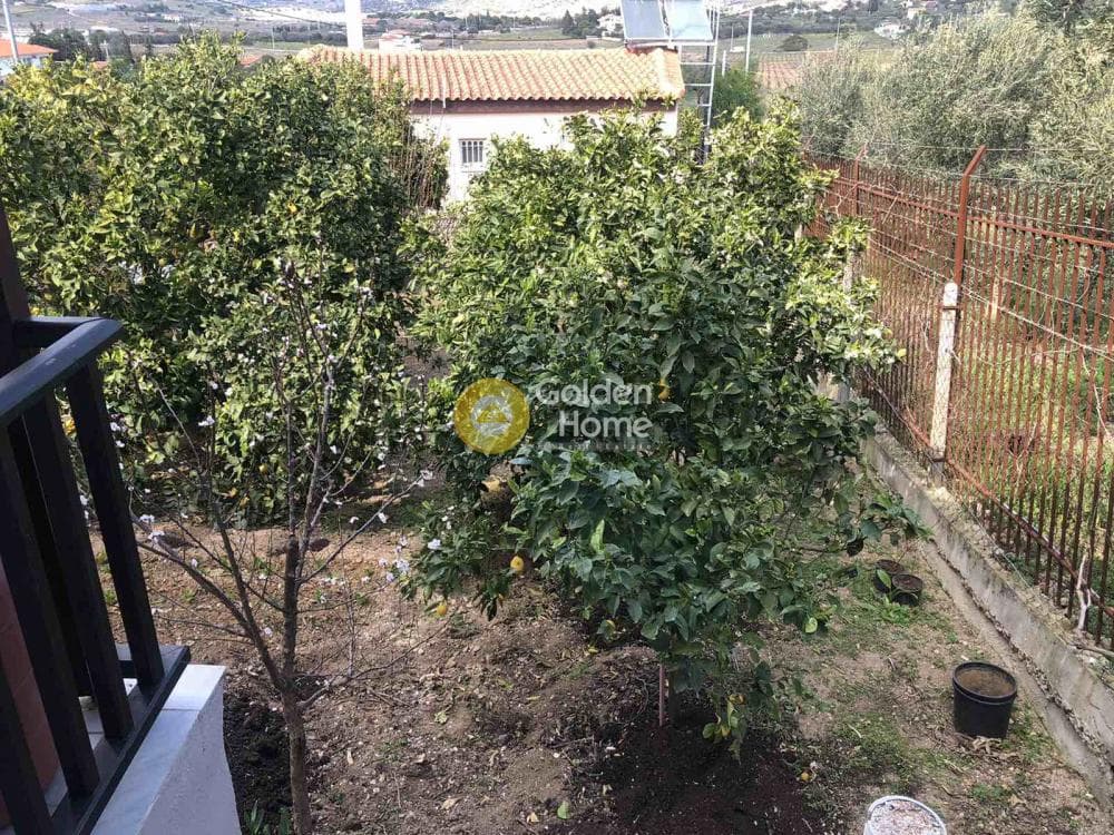 House in Porto Rafti, Vravrona — Photo 10 of 28