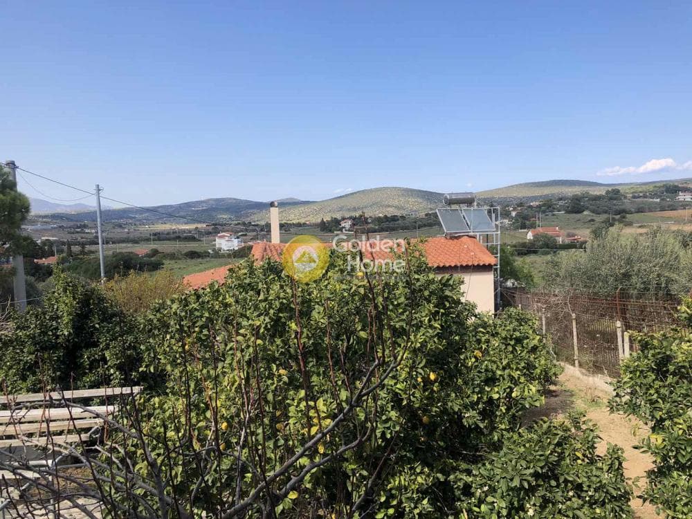House in Porto Rafti, Vravrona — Photo 11 of 28