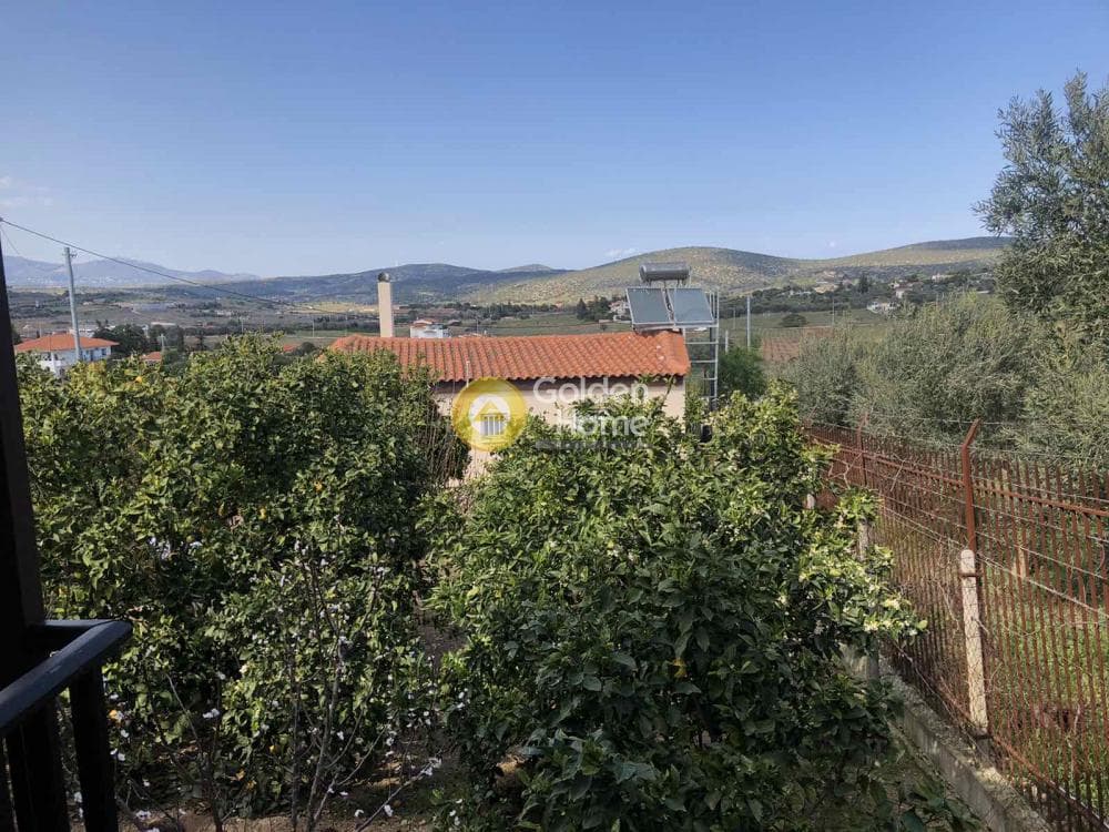 House in Porto Rafti, Vravrona — Photo 28 of 28