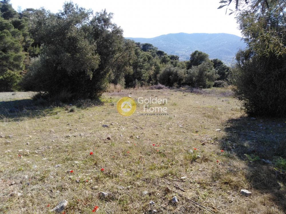 Αγροτεμάχιο στην Κακή Βίγλα, Σαλαμίνα — Φωτογραφία 1 από 5