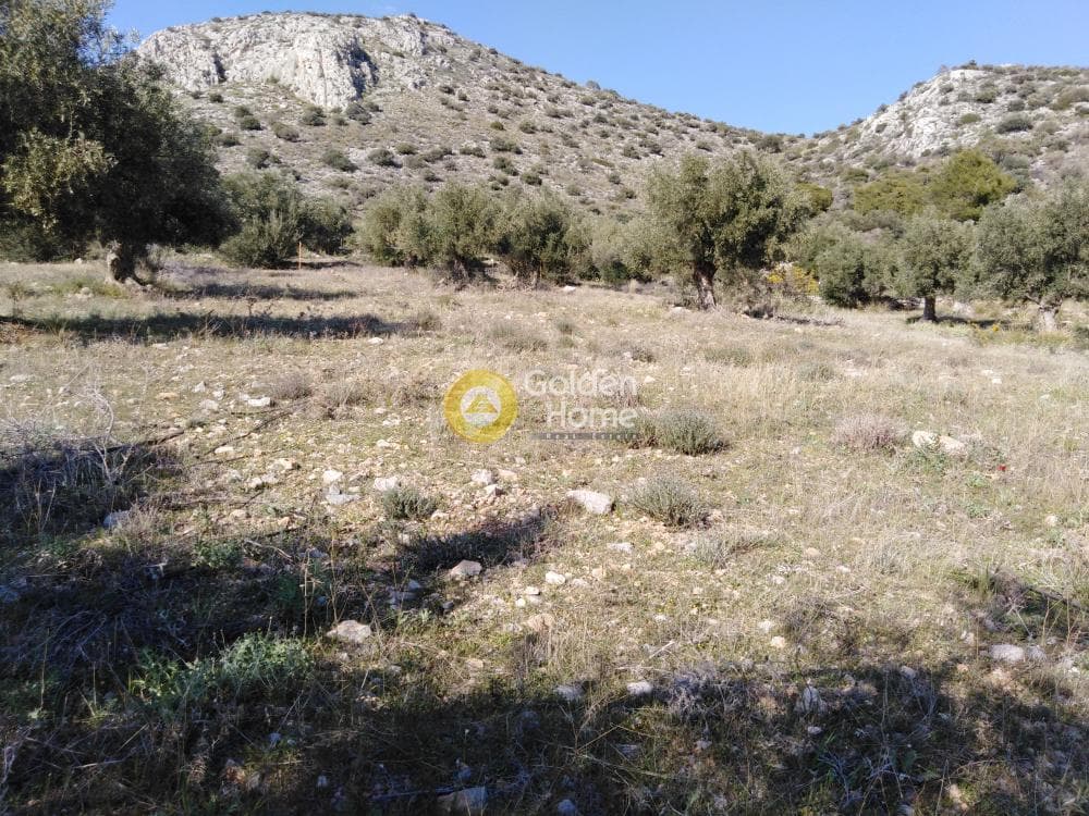 Αγροτεμάχιο στην Κακή Βίγλα, Σαλαμίνα — Φωτογραφία 2 από 5