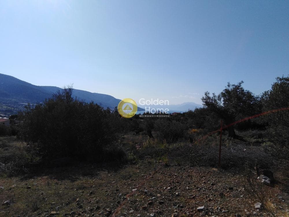 Αγροτεμάχιο στην Κακή Βίγλα, Σαλαμίνα — Φωτογραφία 3 από 5