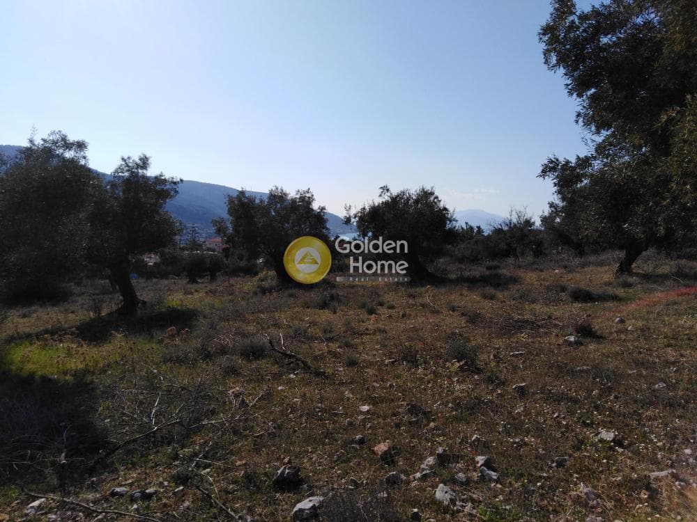 Αγροτεμάχιο στην Κακή Βίγλα, Σαλαμίνα — Φωτογραφία 4 από 5