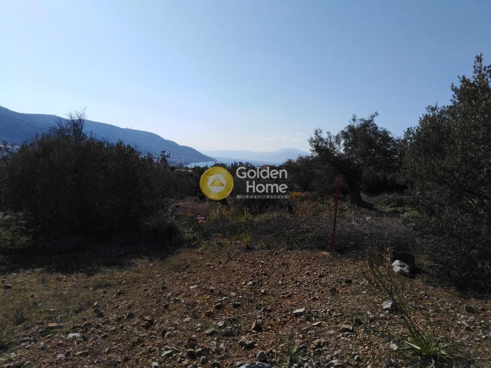 Αγροτεμάχιο στην Κακή Βίγλα, Σαλαμίνα — Φωτογραφία 5 από 5