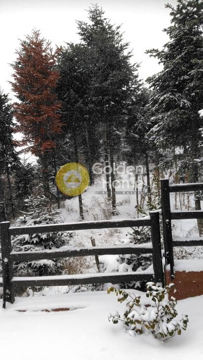 Μονοκατοικία στην Ταξιάρχης, Πολύγυρος — Φωτογραφία 9 από 18