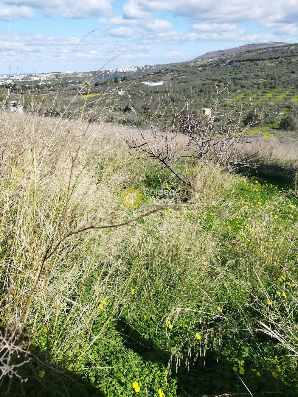 Building Plot in Ethia, Heraclion Cretes — Photo 4 of 5