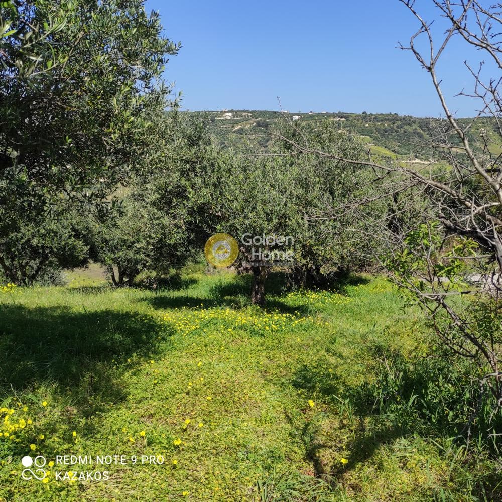 Οικόπεδο στην Σταυράκια, Τετραχώρι — Φωτογραφία 2 από 10
