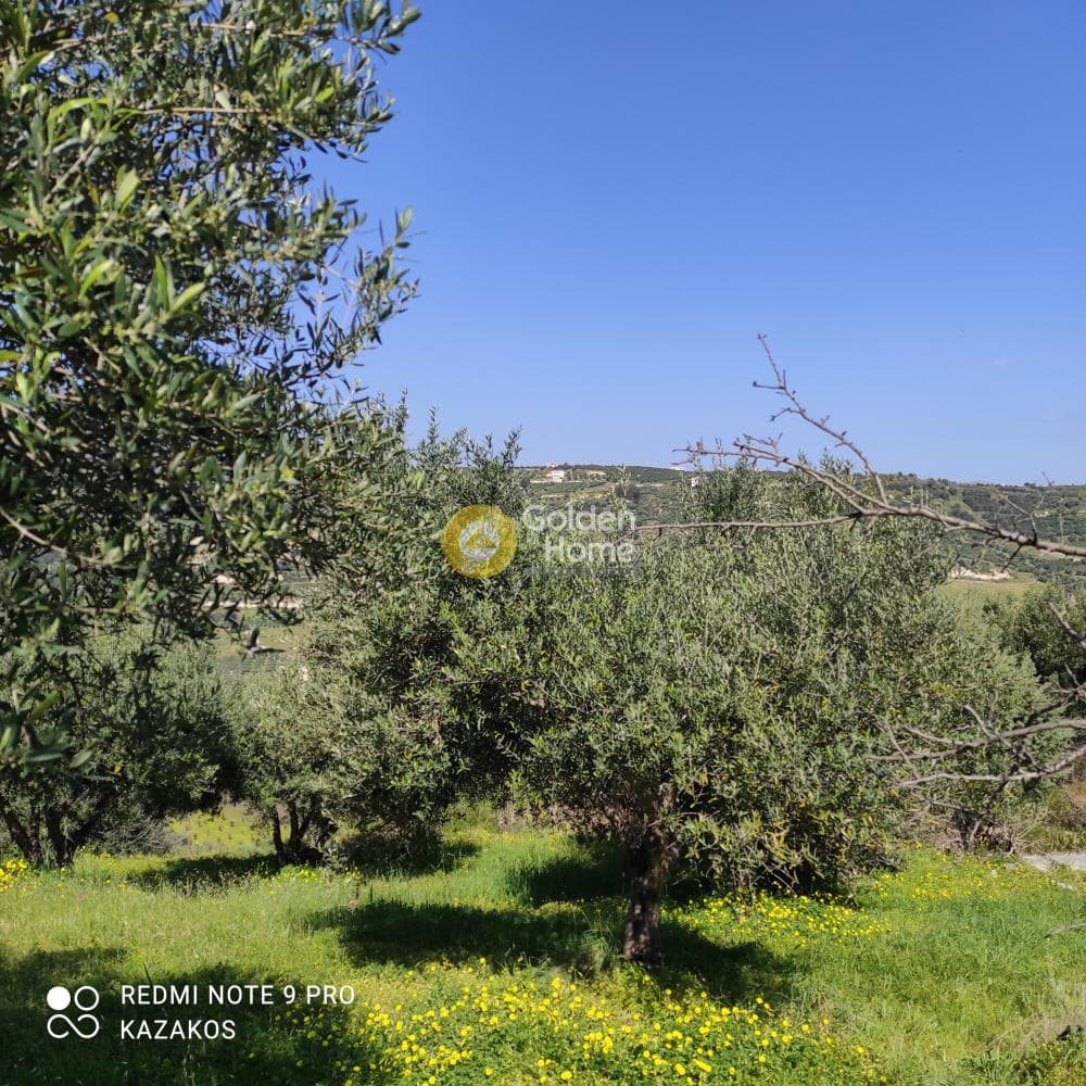 Οικόπεδο στην Σταυράκια, Τετραχώρι — Φωτογραφία 3 από 10