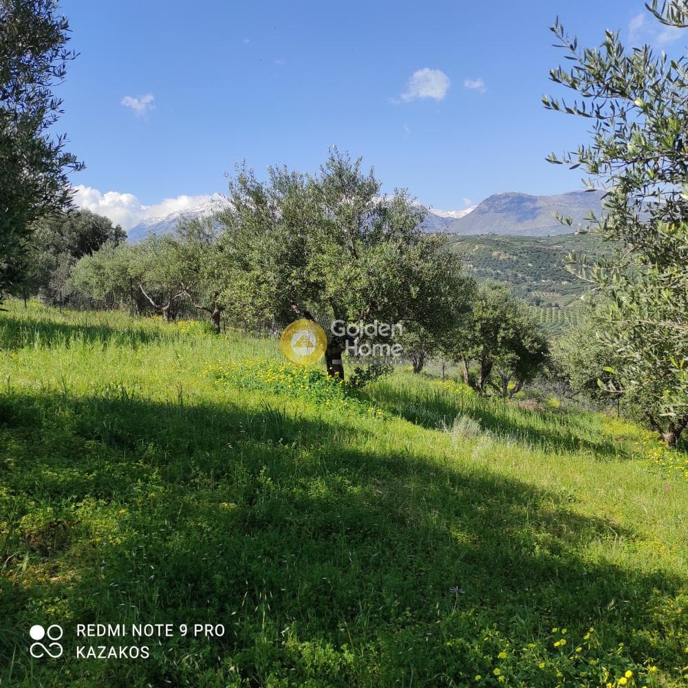 Οικόπεδο στην Σταυράκια, Τετραχώρι — Φωτογραφία 4 από 10