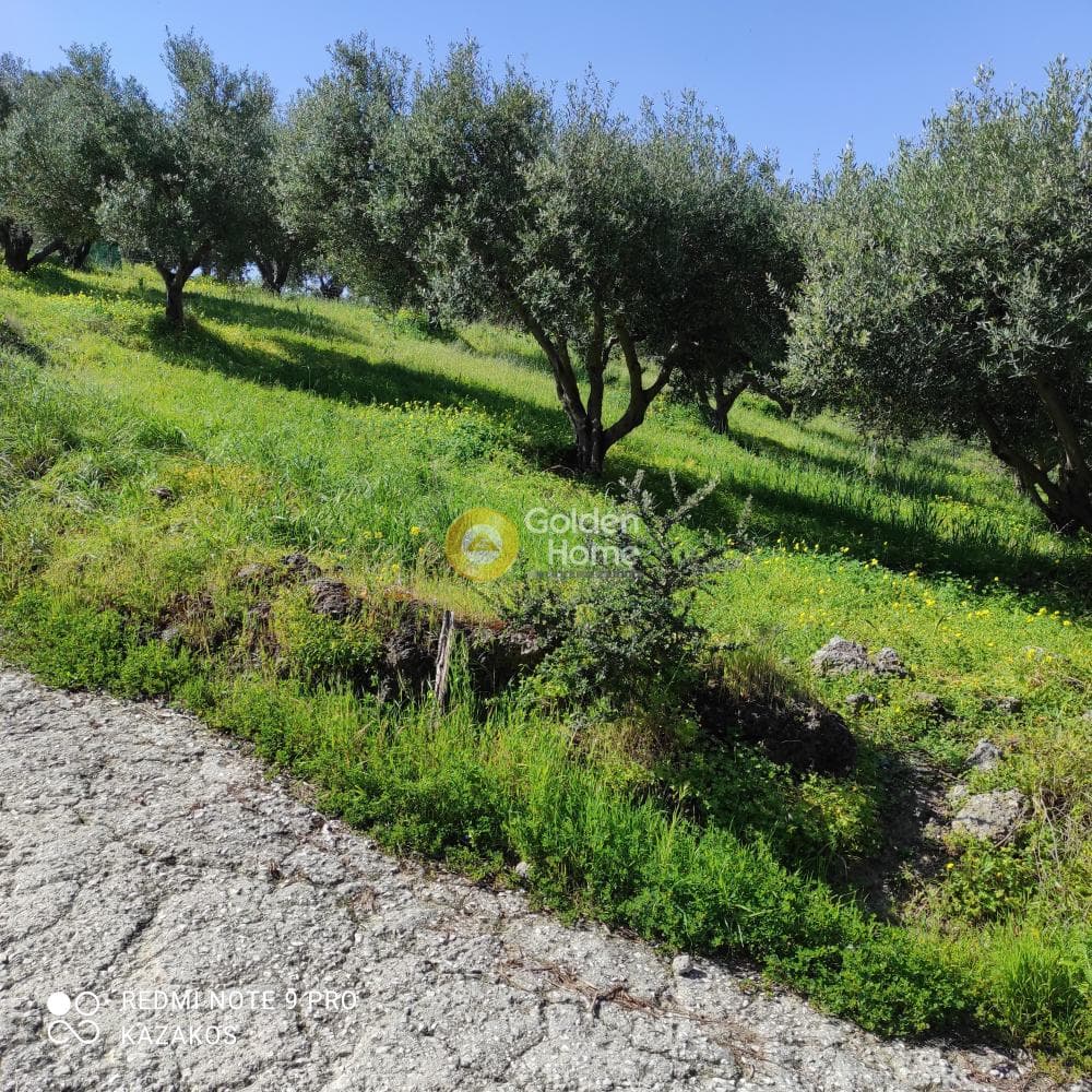 Οικόπεδο στην Σταυράκια, Τετραχώρι — Φωτογραφία 5 από 10