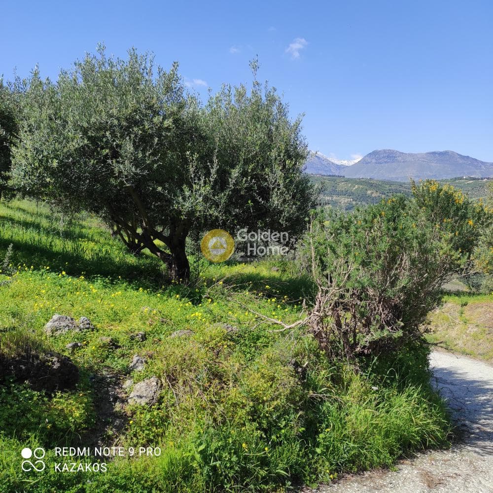 Οικόπεδο στην Σταυράκια, Τετραχώρι — Φωτογραφία 9 από 10