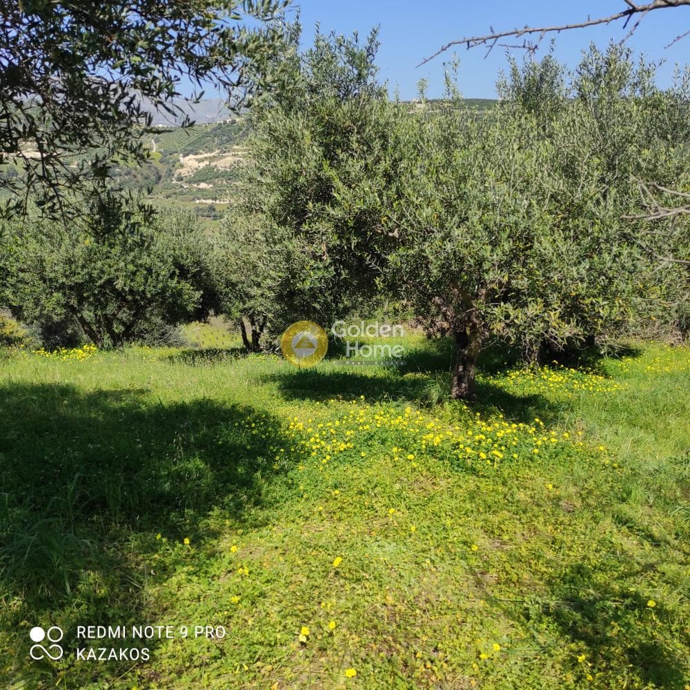 Οικόπεδο στην Σταυράκια, Τετραχώρι — Φωτογραφία 10 από 10