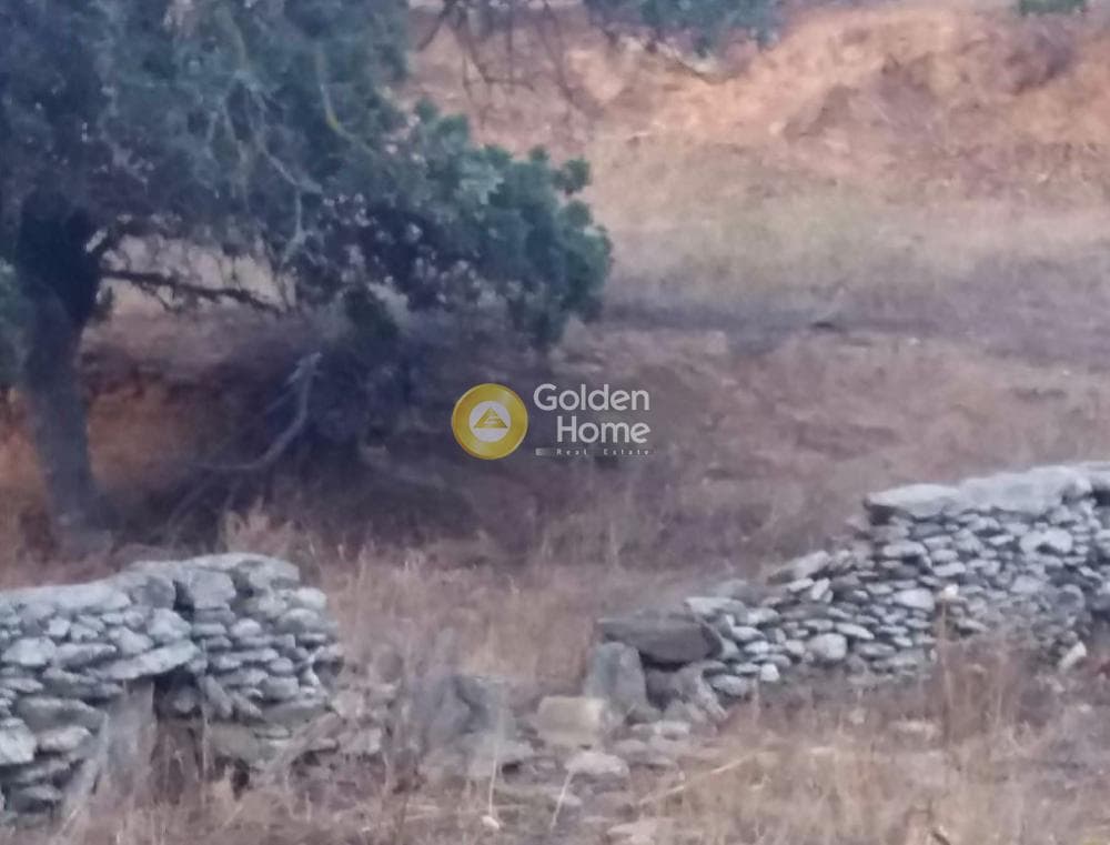 Αγροτεμάχιο στην Ελληνικά, Κέα — Φωτογραφία 2 από 8