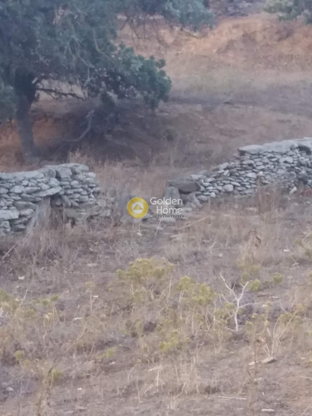 Αγροτεμάχιο στην Ελληνικά, Κέα — Φωτογραφία 7 από 8