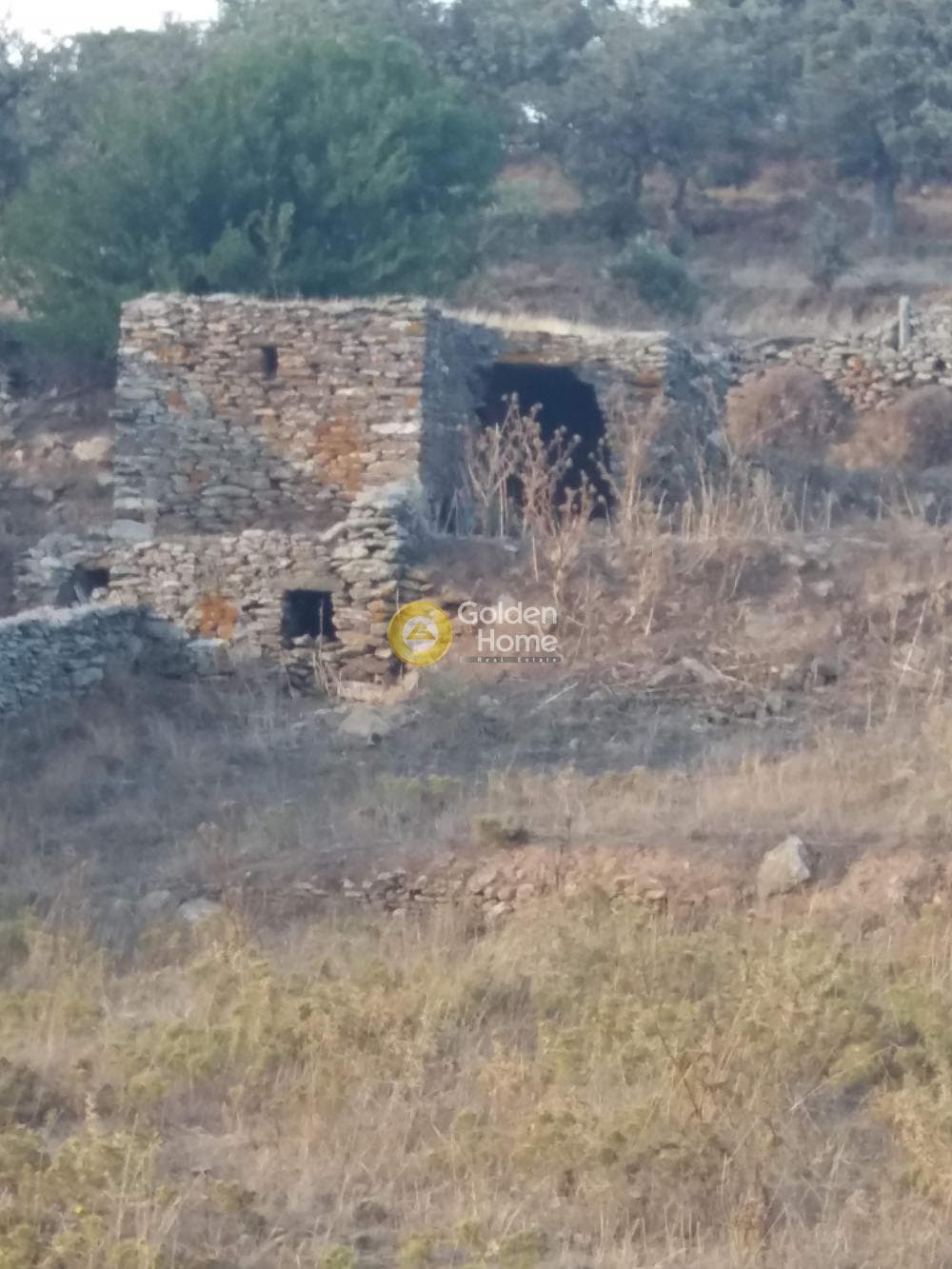 Αγροτεμάχιο στην Ελληνικά, Κέα — Φωτογραφία 8 από 8