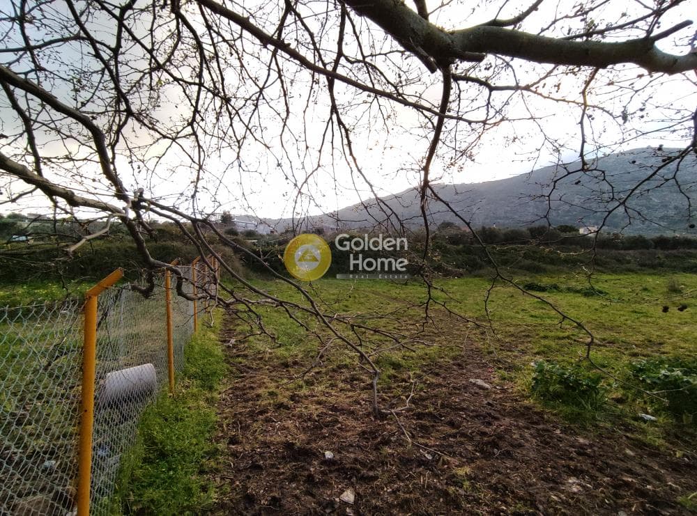 Οικόπεδο στην Επάνω Αρχάνες, Αρχάνες — Φωτογραφία 8 από 8