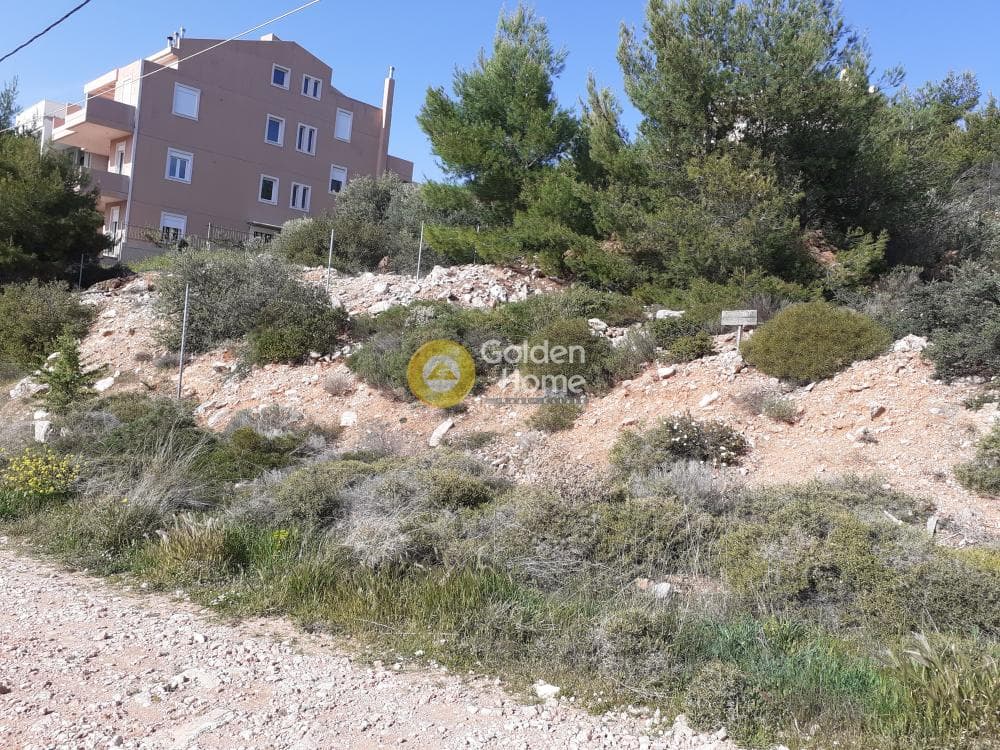 Οικόπεδο στην Δασαμάρι, Πικέρμι — Φωτογραφία 1 από 5