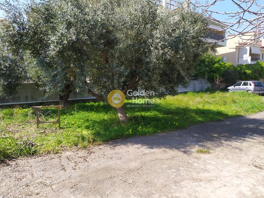 Building Plot in Gargittos, Gerakas — Photo 4 of 5