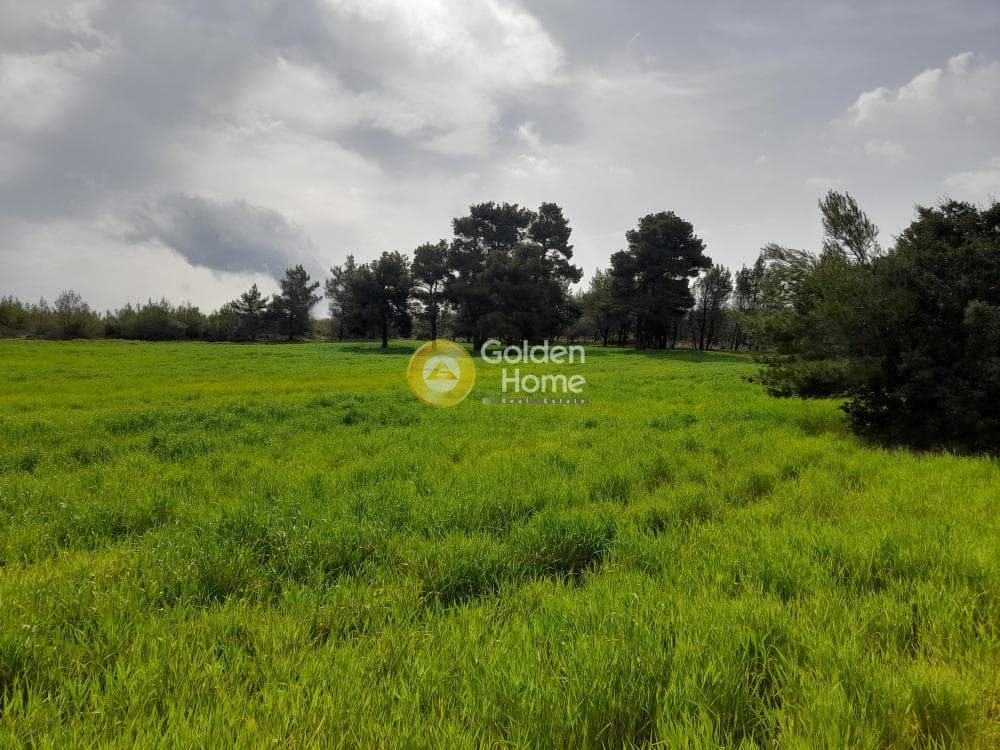 Building Plot in Amigdaleza, Stamata — Photo 2 of 4