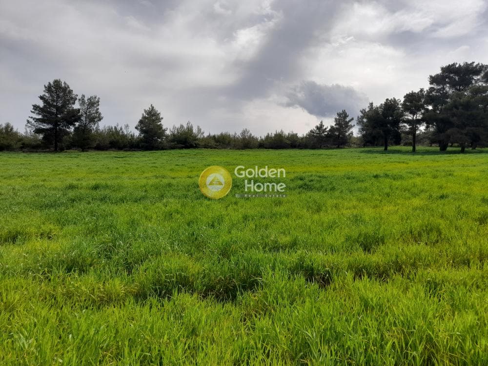 Building Plot in Amigdaleza, Stamata — Photo 1 of 4