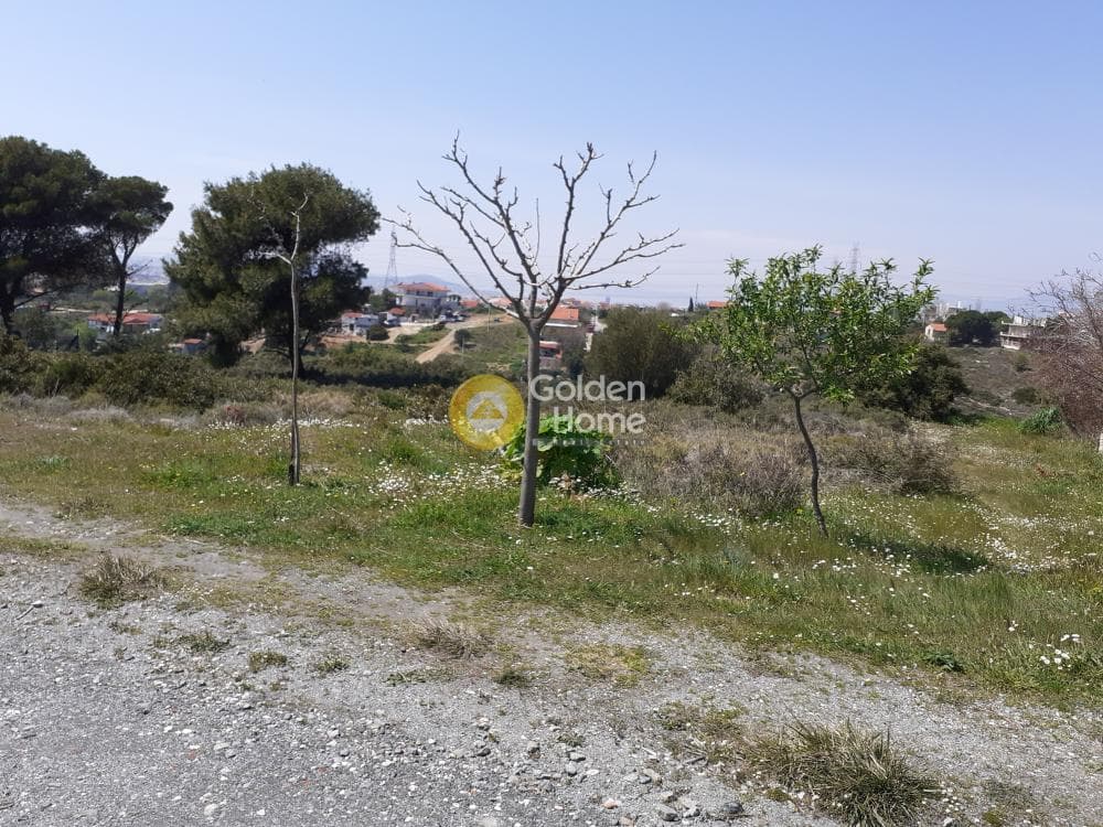 Building Plot in Anthousa, Anthoisa — Photo 2 of 4