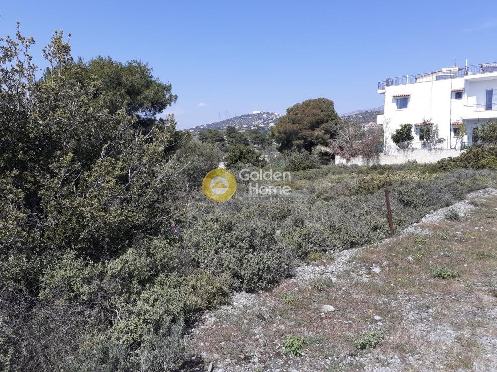 Building Plot in Anthousa, Anthoisa — Photo 4 of 4