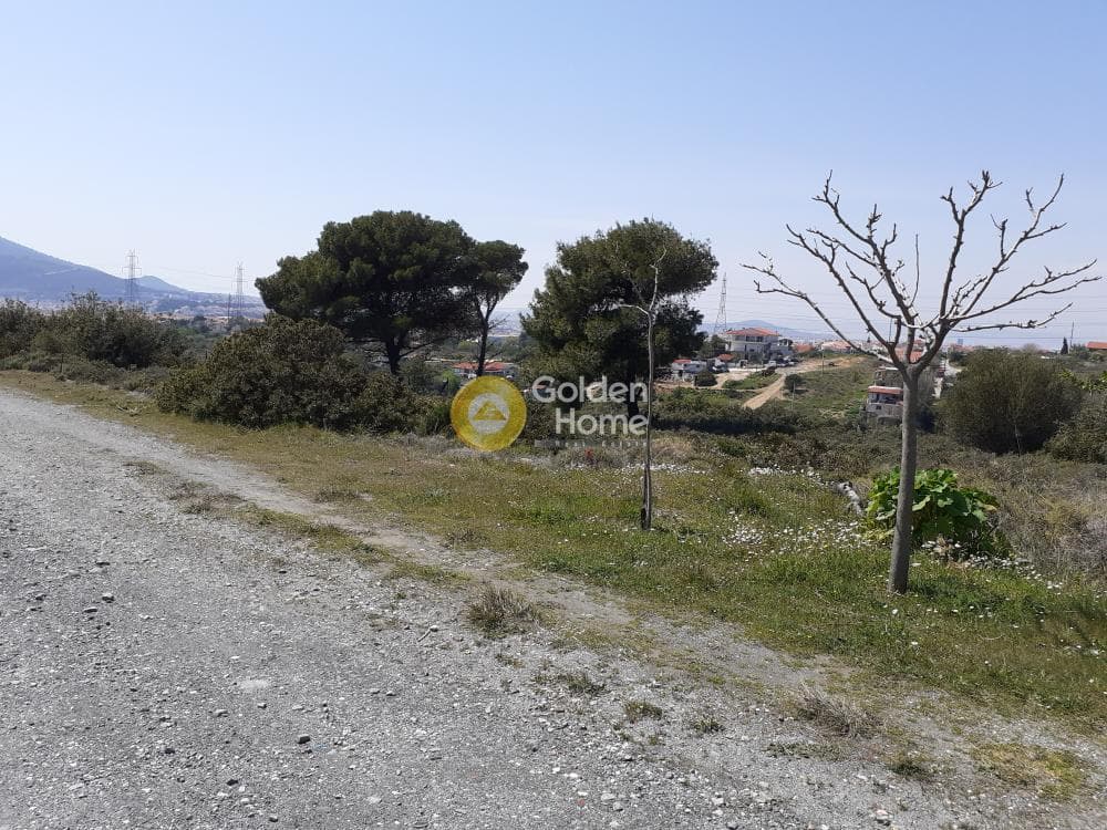Building Plot in Anthousa, Anthoisa — Photo 3 of 4