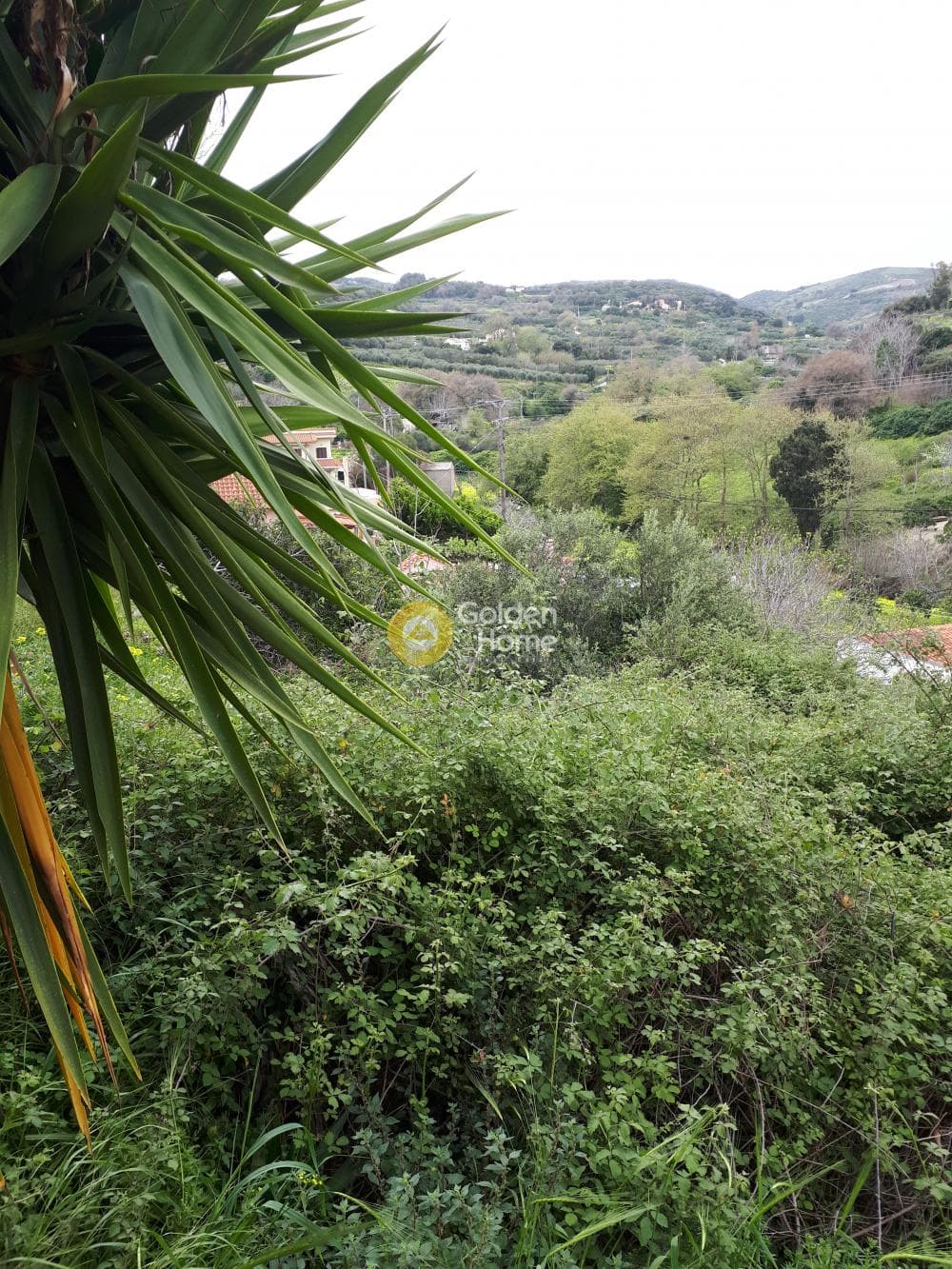 Οικόπεδο στην Επάνω Αρχάνες, Αρχάνες — Φωτογραφία 7 από 8