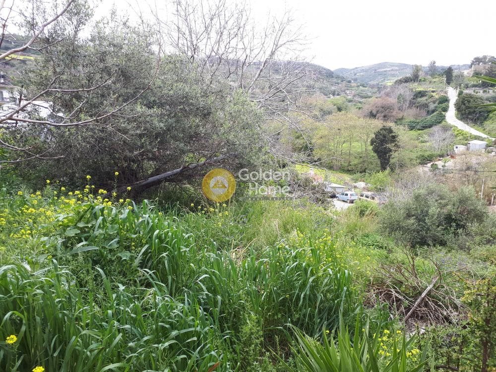 Οικόπεδο στην Επάνω Αρχάνες, Αρχάνες — Φωτογραφία 6 από 8