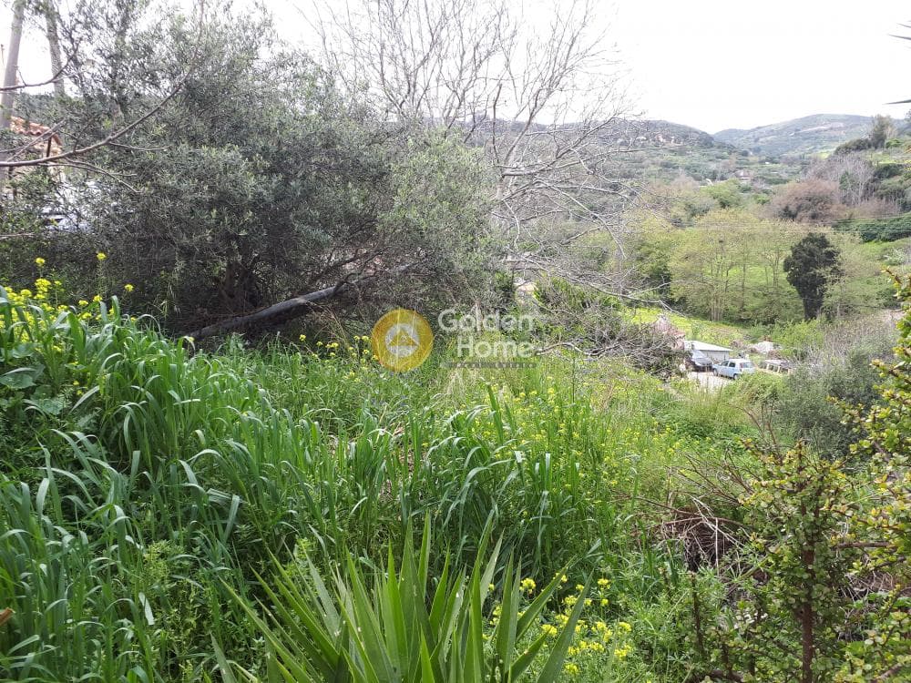 Οικόπεδο στην Επάνω Αρχάνες, Αρχάνες — Φωτογραφία 8 από 8
