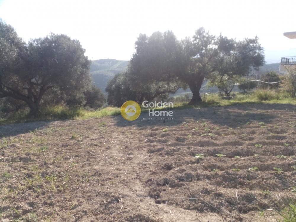 Building Plot in Athanatoi, Temenos — Photo 2 of 4