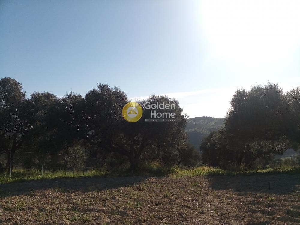 Building Plot in Athanatoi, Temenos — Photo 4 of 4