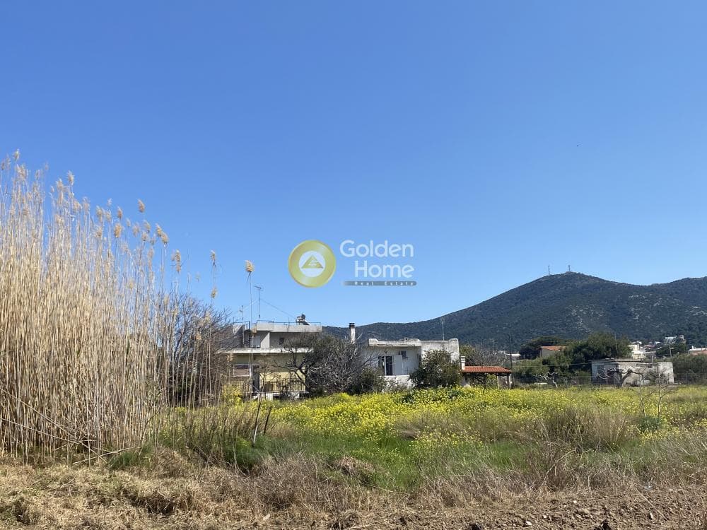 Οικόπεδο στην Πόρτο Ράφτη, Βραυρώνα — Φωτογραφία 3 από 8