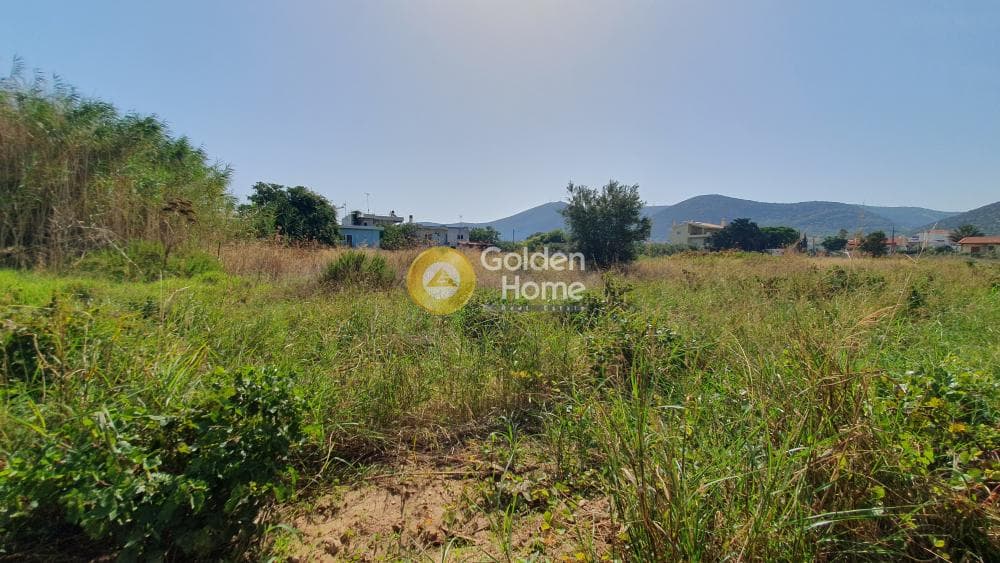 Οικόπεδο στην Πόρτο Ράφτη, Βραυρώνα — Φωτογραφία 5 από 8