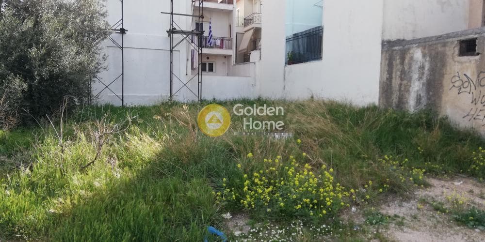 Οικόπεδο στην Τσόπα - Σουλιώτη, Καματερό — Φωτογραφία 3 από 4
