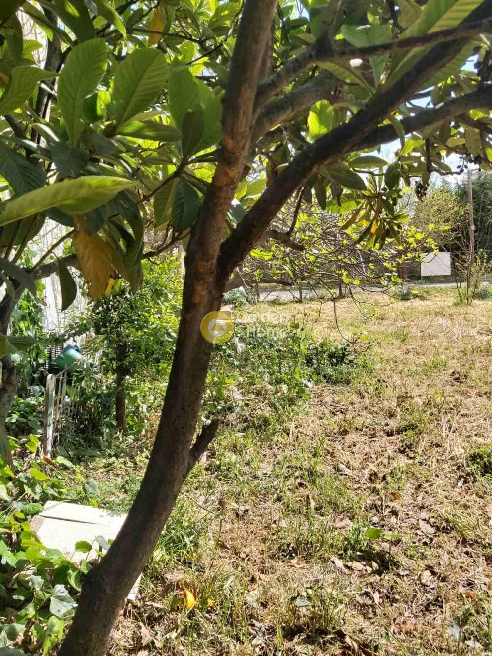 Οικόπεδο στην Πυργούθι, Αχαρνές — Φωτογραφία 3 από 8