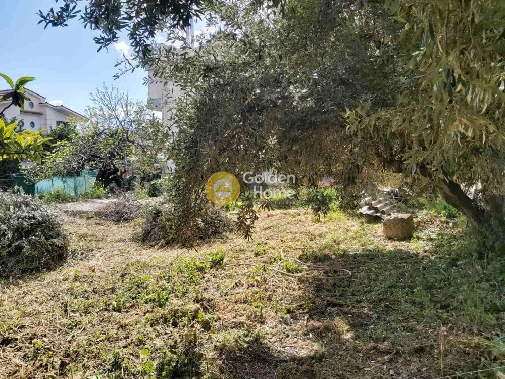 Οικόπεδο στην Πυργούθι, Αχαρνές — Φωτογραφία 2 από 8