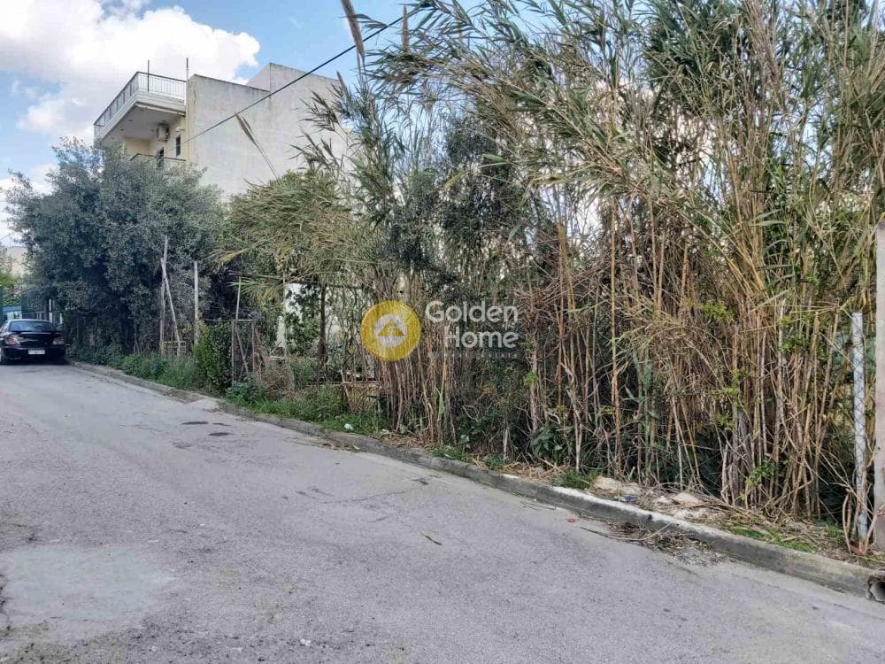 Οικόπεδο στην Πυργούθι, Αχαρνές — Φωτογραφία 8 από 8